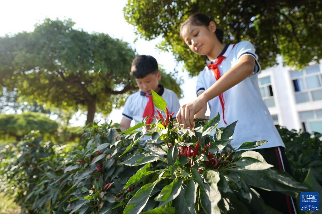 扑鱼达人电脑版游戏下载